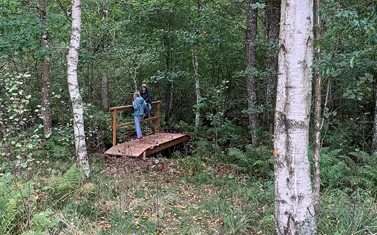 En bro i skogen med två barn på
