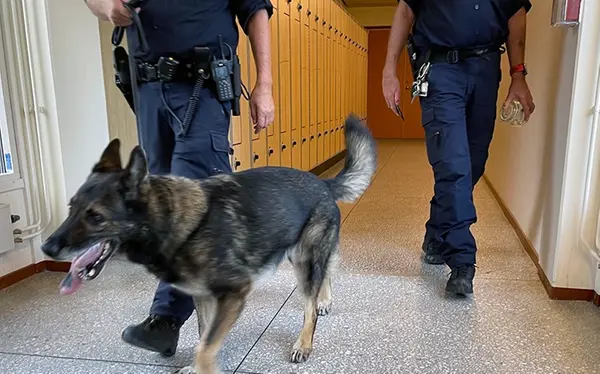 Poliser och narkotikasökhund
