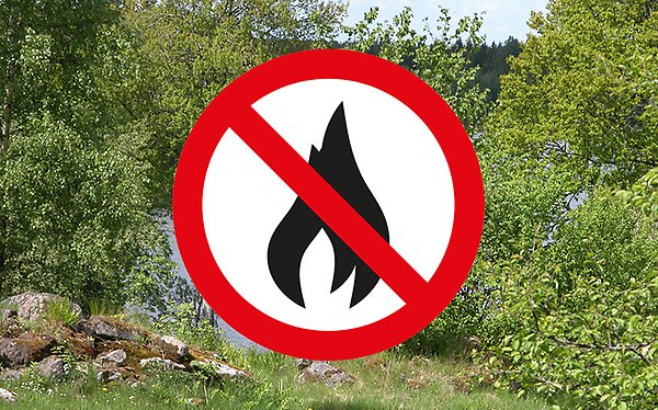 Skog och skylt med eldningsförbud