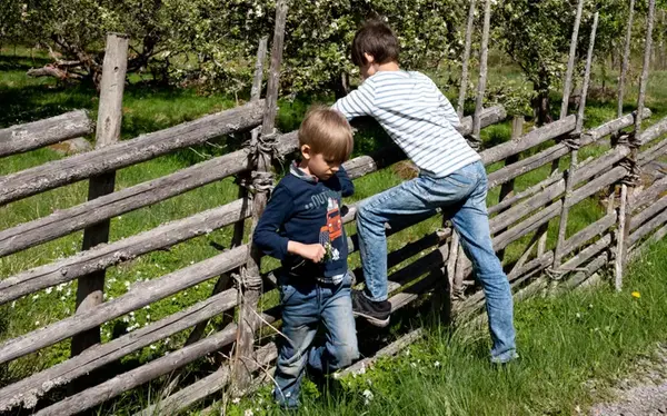 Två barn vid staket