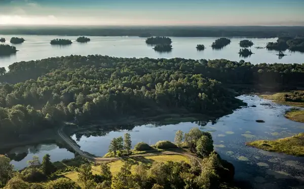 Naturbild med sjö och skog