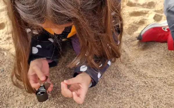 Barn letar efter insekter